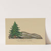 Holy Night: Act Two (Pine Tree in Rocky Hills) (1934-1943) by Wood MacLane