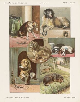 Honden (1875-1919)