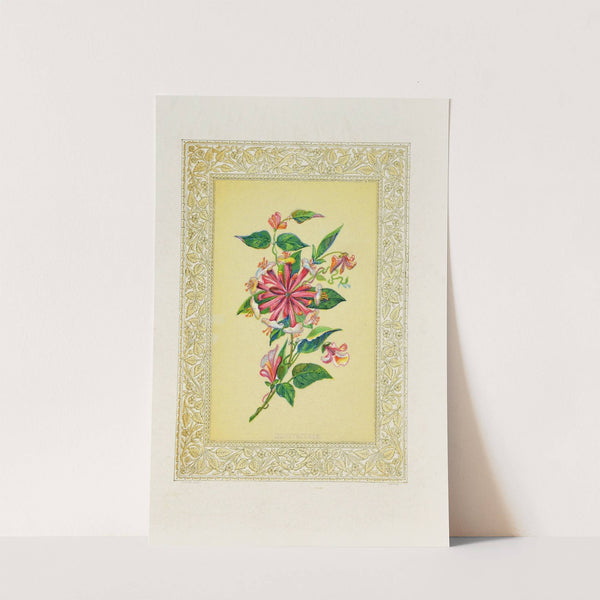 Honeysuckle (1869) by John Henry Ingram