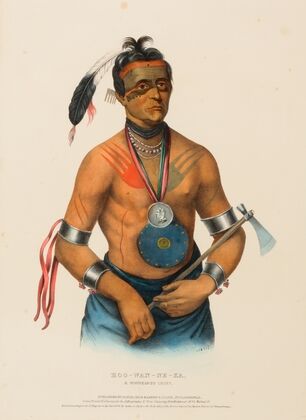 Hoo-Wan-Ne-Ka, A Winnebago Chief