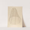 Hoop Skirt by Margaret Concha
