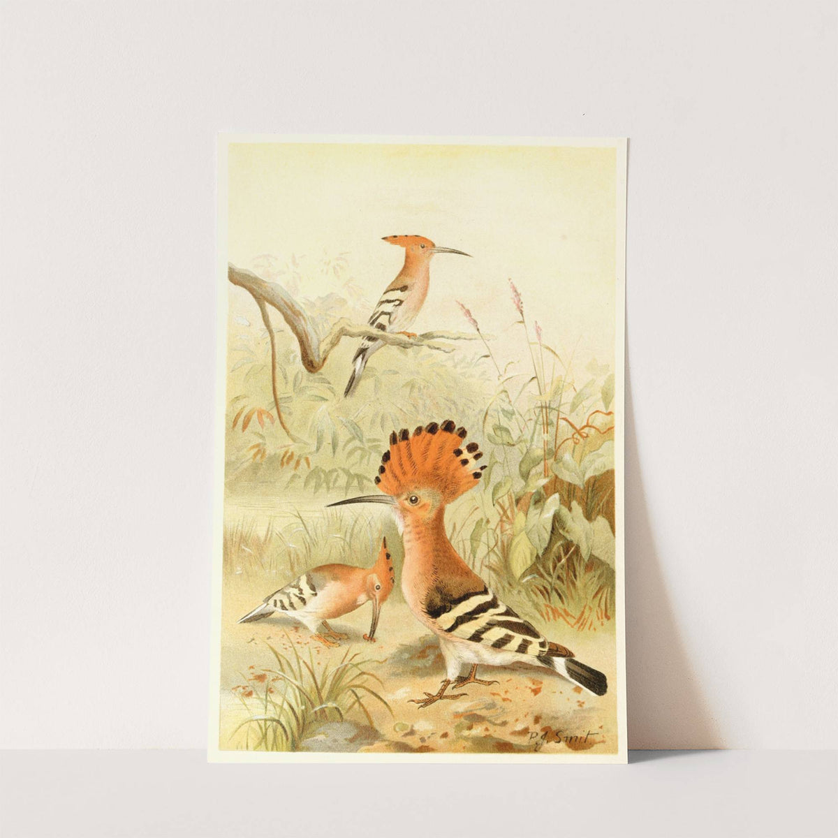 Hoopoes (1893-1896) by Pierre Jacques Smit
