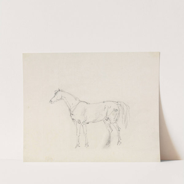 Horse by Sawrey Gilpin