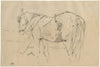 Horse (1886)