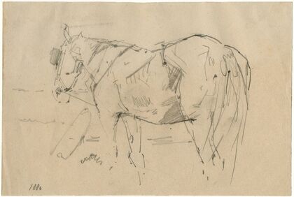 Horse (1886)