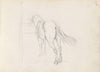 Horse (1843 or 1844)