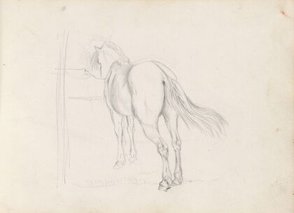 Horse (1843 or 1844)