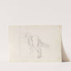 Horse (1843 or 1844) by Adolph Tidemand