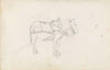 Horse (Between 1844 and 1854)