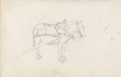 Horse (Between 1844 and 1854)