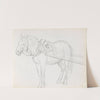 Horse (between 1865 and 1872) by Adolph Tidemand