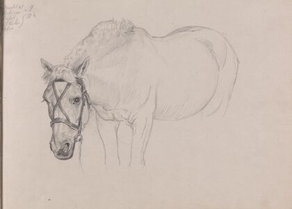 Horse (Between 1867 and 1872)