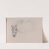 Horse (Between 1867 and 1872) by Adolph Tidemand