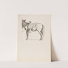 Horse by Howard Russell Butler