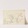 Horse and Pony by James Howe