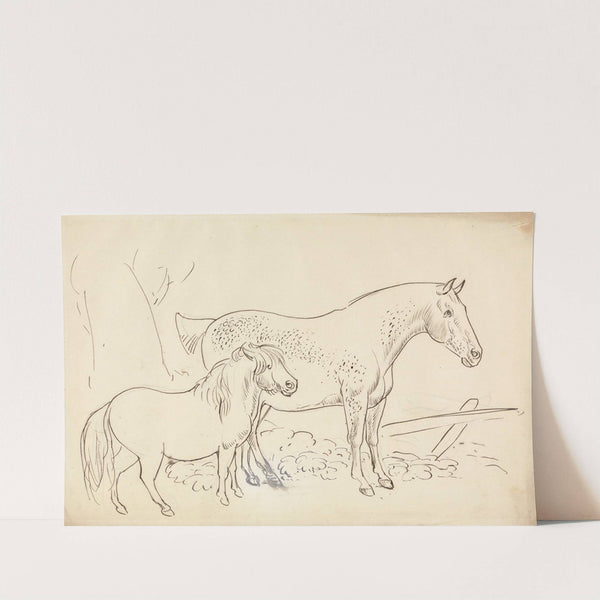 Horse and Pony by James Howe