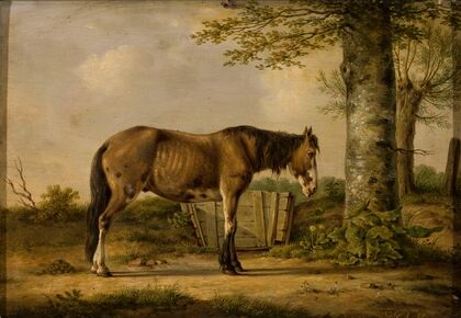 Horse by a tree