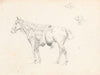 Horse covered with saddlecloth, from the side and sketches of dog’s head (1881)