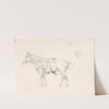 Horse covered with saddlecloth, from the side and sketches of dog’s head (1881) by Jozef Brandt