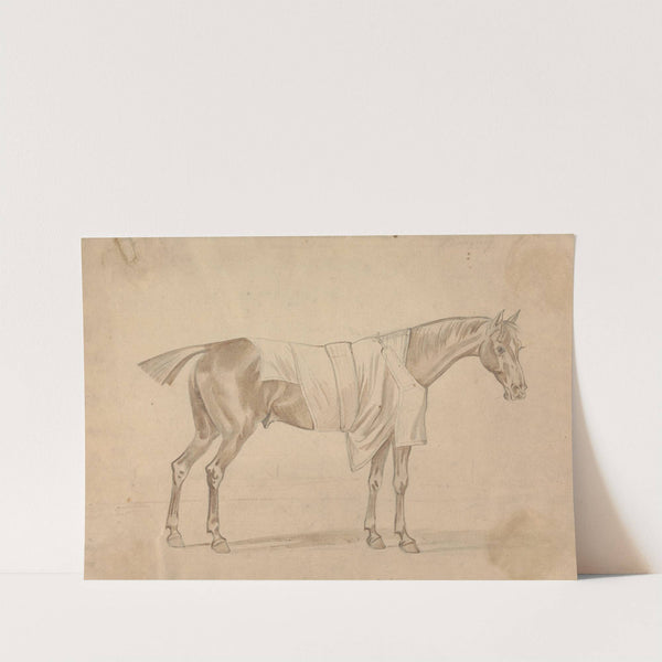 Horse Dressed in Blanket (1760) by Sawrey Gilpin