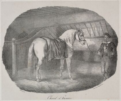 Horse from Hanover (1822)