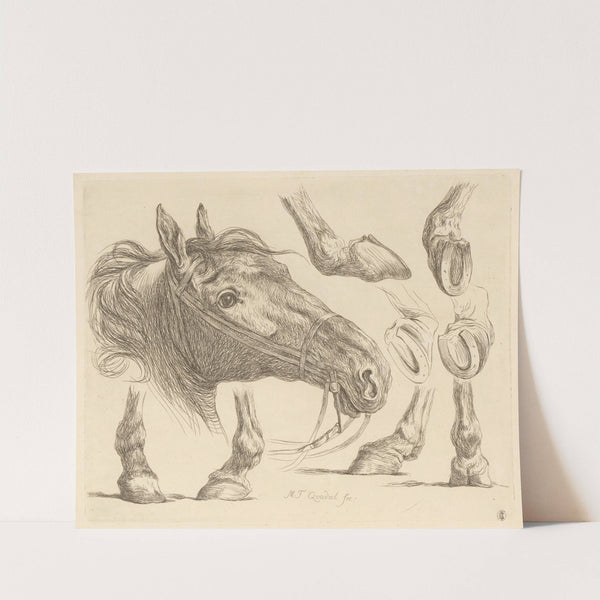 Horse head and hooves (1793) by Martin Ferdinand Quadal