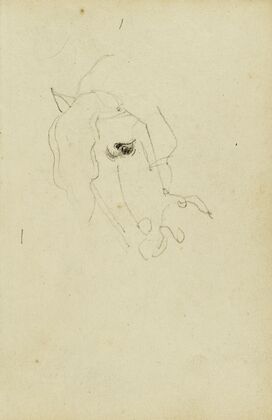 Horse head