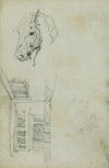 Horse head, view of a courtyard