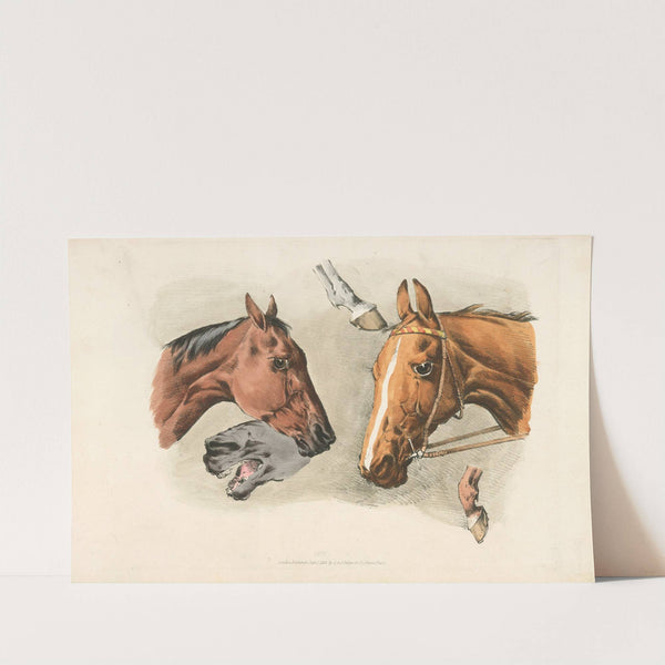Horse heads and … (1817-1818) by Henry Thomas Alken