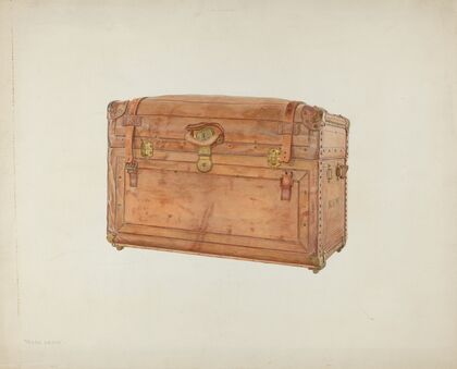 Horse Hide Trunk