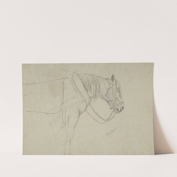 Horse in a Harness (1860 - 1900) by Hans Thoma