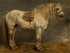 Horse in the stables