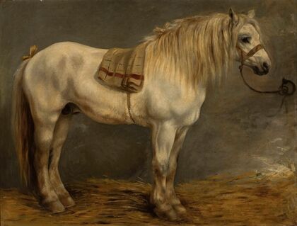 Horse in the stables