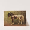 Horse Portrait by Benno Raffael Adam