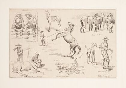 Horse raising in the northwest (1889)