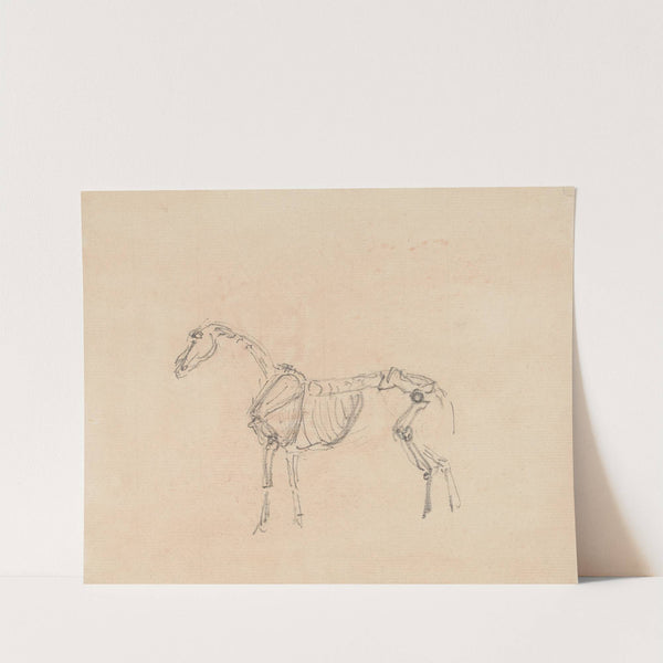 Horse Skeleton. by Sawrey Gilpin