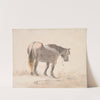 Horse Standing on a Mound (1655) by Cornelis Saftleven