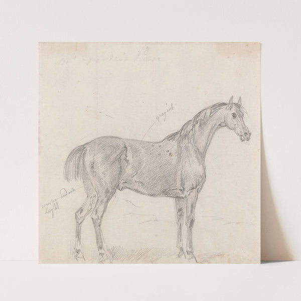 Horse Standing, Side View Facing Right by Sawrey Gilpin