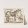 Horse, standing to the right (1793) by Martin Ferdinand Quadal