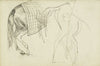 Horse Studies
