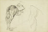 Horse Studies
