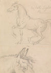 Horse Walking to Left