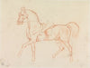 Horse, With Rider Lightly Sketched, Walking to Left