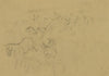 Horses being herded