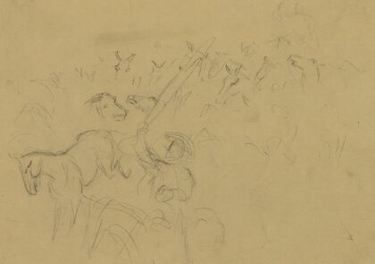 Horses being herded