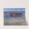 Horses Cooling Themselves in Water by Nils Kreuger