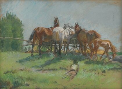 Horses