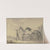 Horses from Tunis by Johann Georg Pforr