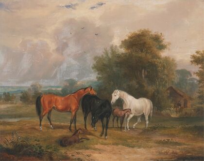 Horses Grazing; Mares and Foals in a Field — size preview