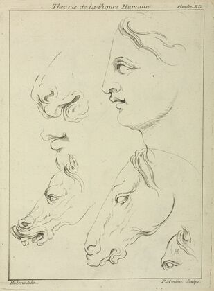 Horses’ heads and human head in profile, with detail of horse’s eye and nose